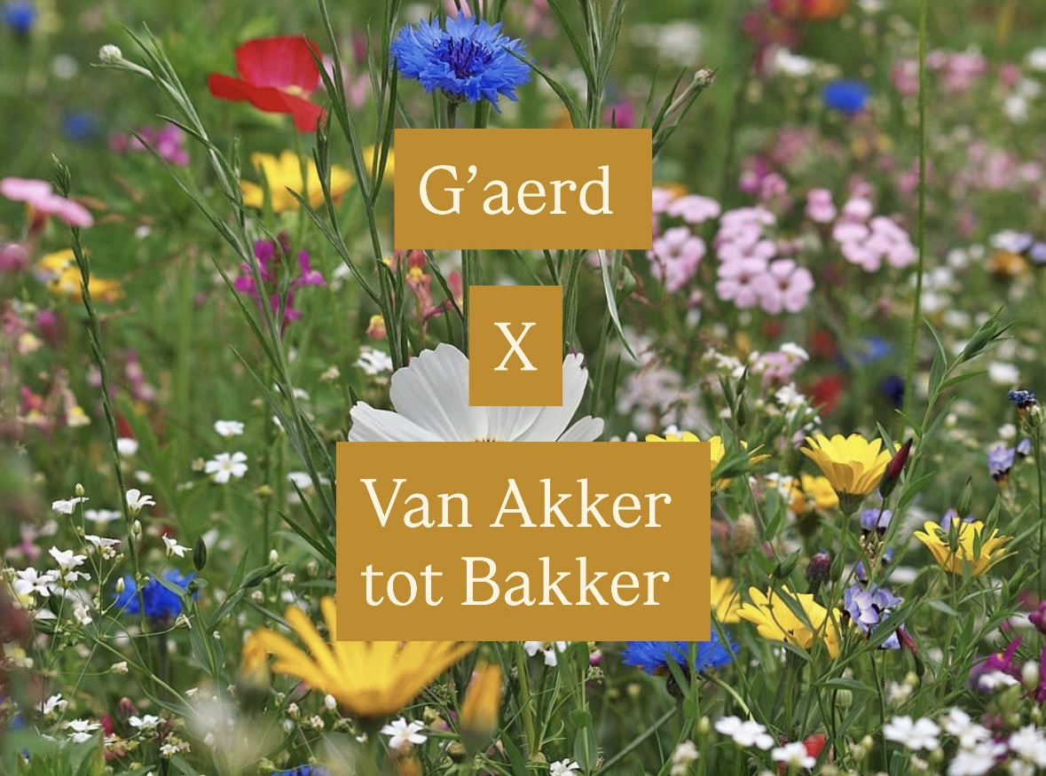 Van Akker tot Bakker - Samen bloemen zaaien aan de rand van de akker