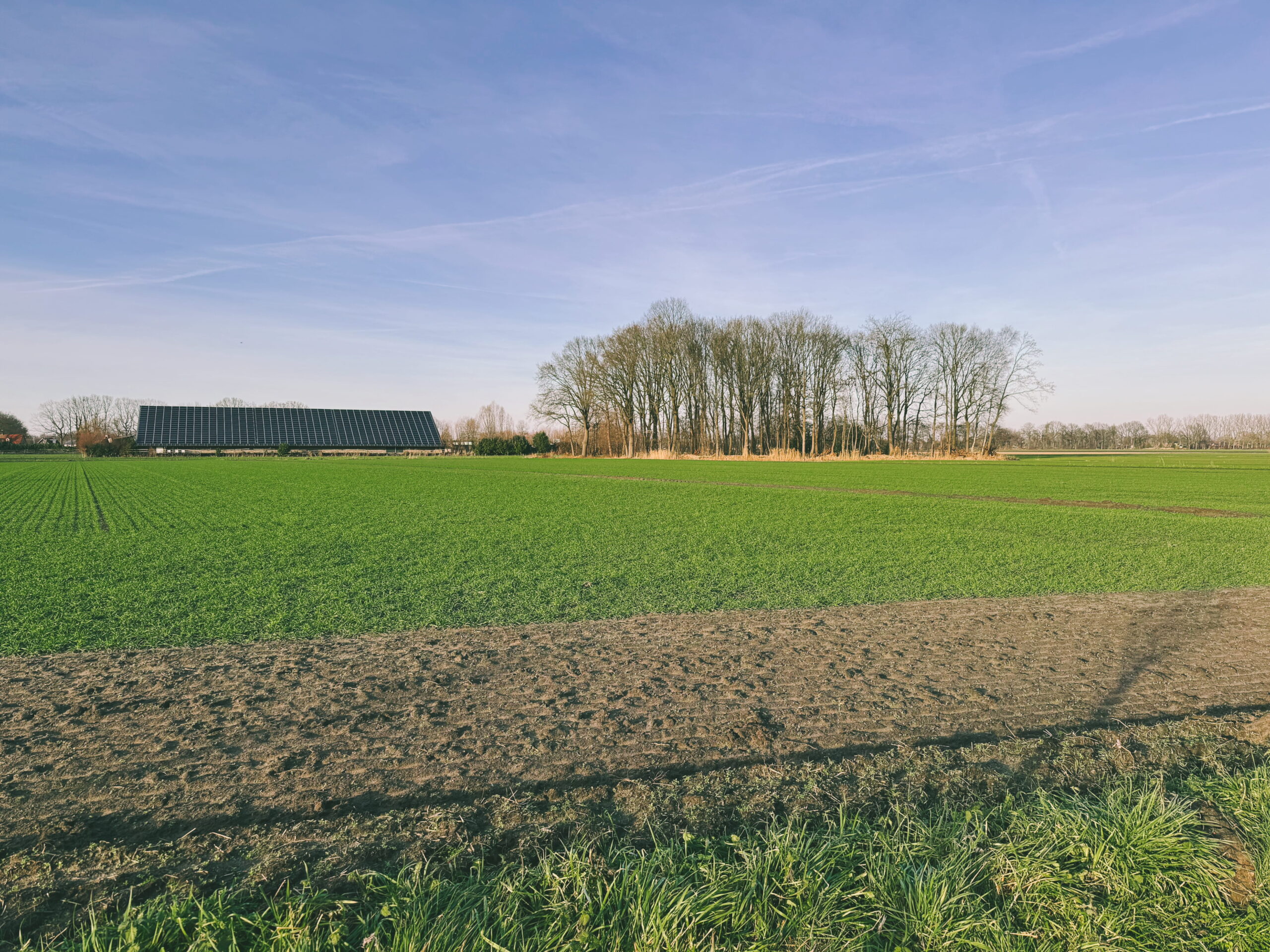 Van Akker tot Bakker - Samen bloemen zaaien aan de rand van de akker - Afbeelding 2