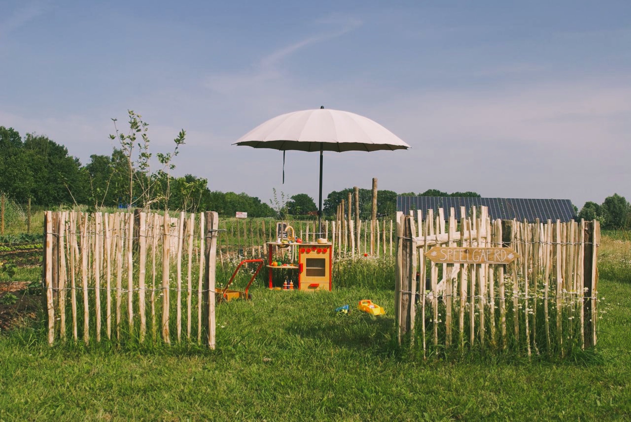 Van Akker tot Bakker - Samen bloemen zaaien aan de rand van de akker - Afbeelding 3